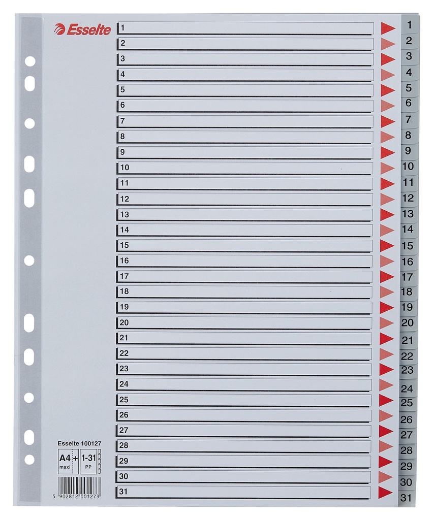 Register A4 Maxi 1-31 Plast Esselte