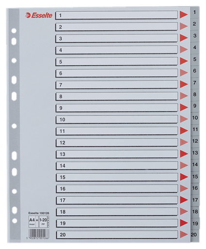 [100107] Register A4 1-20 Maxi Plast Esselte