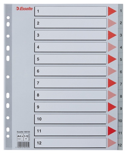[100125] Register A4 Maxi 1-12 Plast Esselte