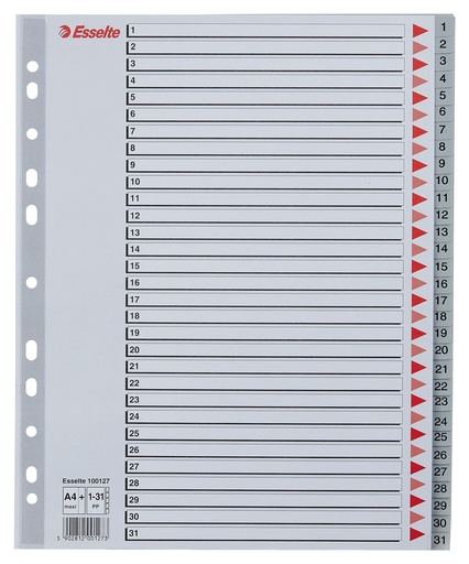 [100127] Register A4 Maxi 1-31 Plast Esselte